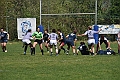 MAS_6579