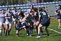 MAS_6595