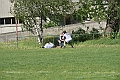 MAS_6737
