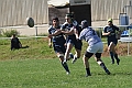 MAS_6767