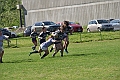 MAS_6818