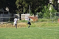 MAS_6833