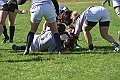 MAS_6867