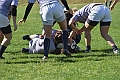 MAS_6868
