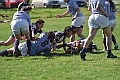 MAS_6919