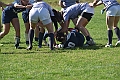 MAS_6926
