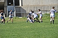 MAS_6954