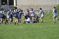 MAS_6955