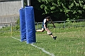 MAS_6975