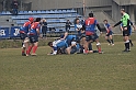 MAS_1595
