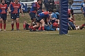 MAS_2011