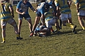 MAS_4294