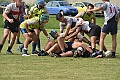 MAS_7142
