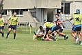 MAS_7145