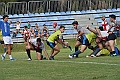 MAS_7173