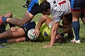 MAS_7233