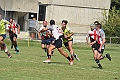 MAS_7247