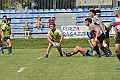 MAS_7301