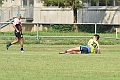 MAS_7331