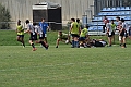 MAS_7335