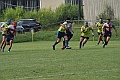 MAS_7341