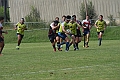 MAS_7343