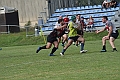 MAS_7347
