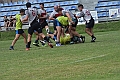 MAS_7353