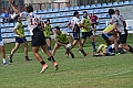 MAS_7356