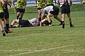 MAS_7371