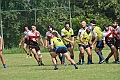 MAS_7431