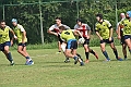 MAS_7433