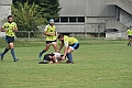 MAS_7496