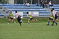 MAS_7497