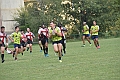 MAS_7566