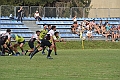 MAS_7571