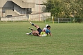MAS_7575