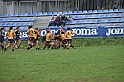 MAS_1753