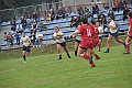 MAS_1313