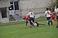 MAS_1323