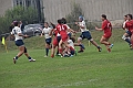 MAS_1336