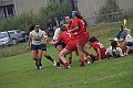 MAS_1359