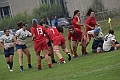 MAS_1361