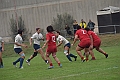MAS_1412