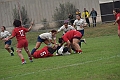 MAS_1417