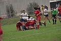 MAS_1419