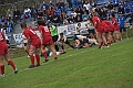 MAS_1466