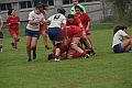 MAS_1493