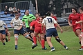 MAS_1528