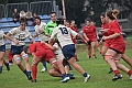 MAS_1529